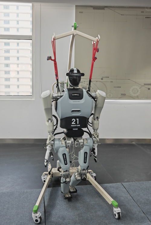 特斯拉人形机器人Optimus何时量产?揭秘马斯克的AI野心