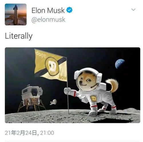 马斯克最新动态：狗狗币未来走势引热议