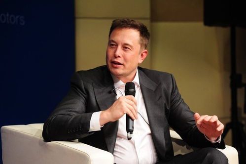 马斯克的生肖与星座解析：科技巨头的性格密码