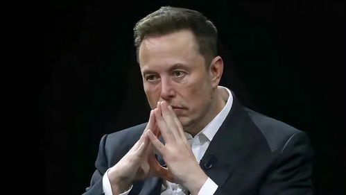 马斯克的家族背景：父母对他的影响