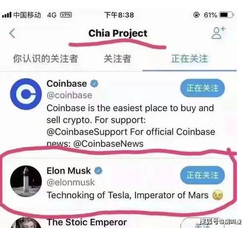 马斯克与XCH:探索加密货币领域的新动向