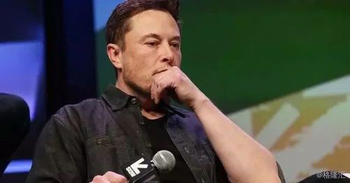 特斯拉CEO马斯克与伴侣：事业与家庭的平衡之道