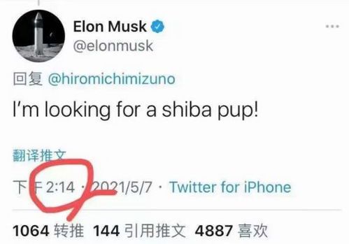 马斯克推特再掀加密货币风潮:SHIB成为焦点