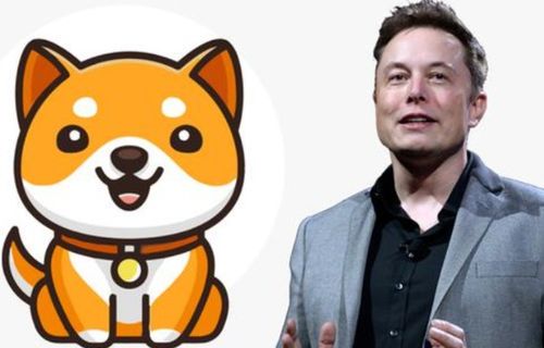 马斯克与DaddyDoge:加密货币世界的新风向标