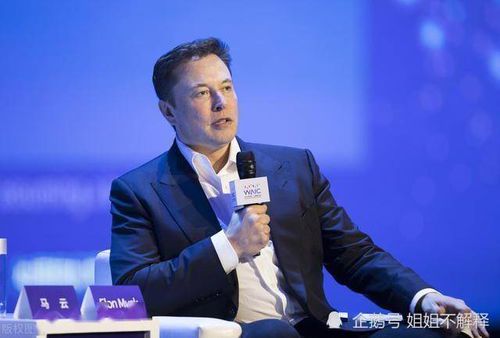 马斯克的家产：科技巨头的财富版图