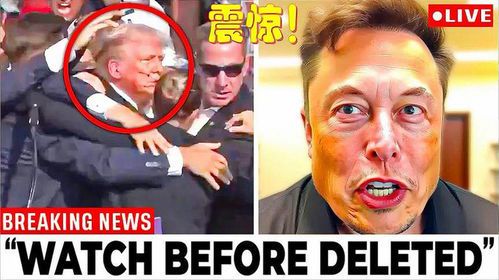 马斯克与特朗普：复杂关系的背后真相