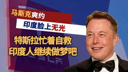 马斯克与美国政治:科技巨头的党派倾向
