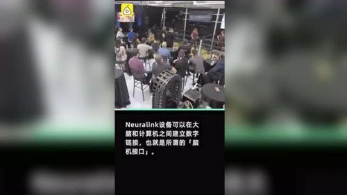 马斯克直播现场：科技狂人的真实一面