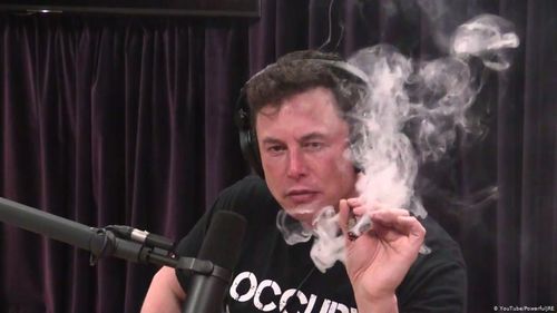 马斯克与XCH:探索加密货币领域的新动向