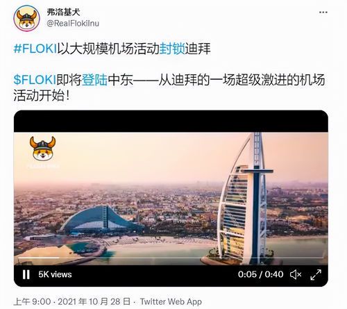 马斯克推荐的虚拟币:机遇还是风险?