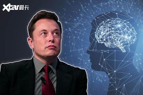 虚拟世界的马斯克：科技狂人的数字乌托邦