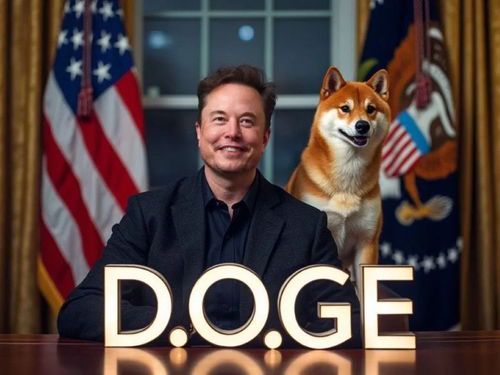 **当Doge遇上马斯克：一场加密货币的狂欢与争议**