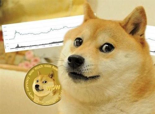 狗狗币背后的推手:马斯克为何钟情于DOGE?