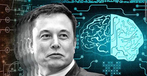 马斯克脑机接口：颠覆未来的技术革命