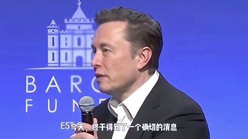 马斯克是否曾进行慈善捐款？