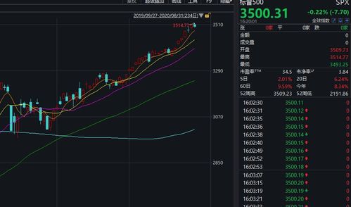 马斯克身价单日暴涨135亿美元,全球富豪榜排名再攀升