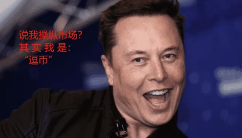 硅谷狂想曲：当Dojo遇见马斯克与Doge