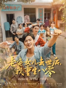 老婆女儿去世后我重生八零短剧全81集