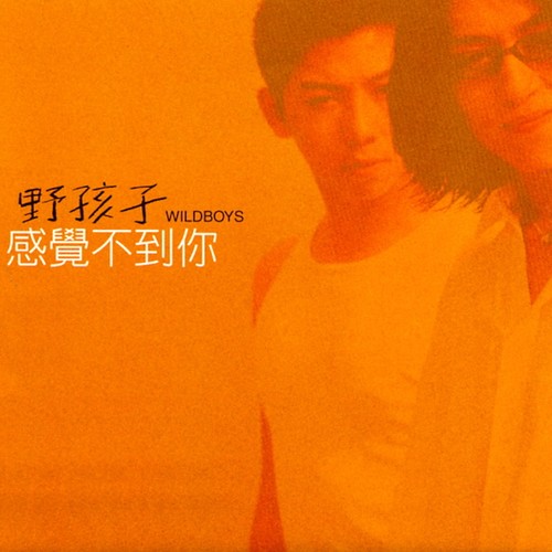 感觉不到你歌词-羽泉