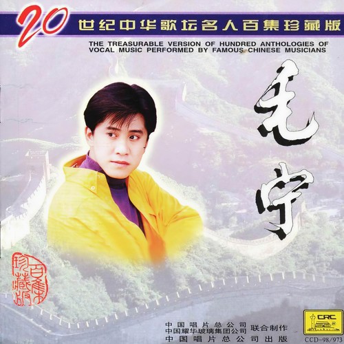 好像开开心心过一天歌词-毛宁