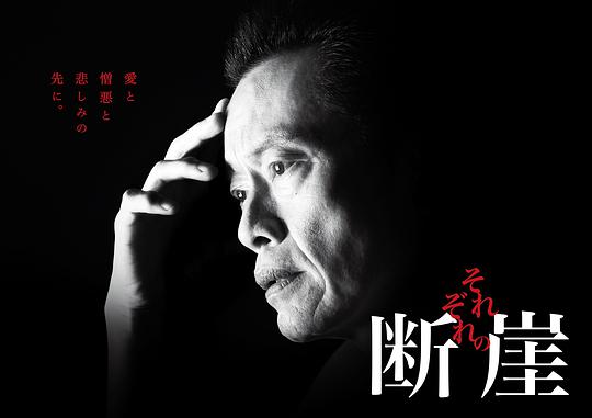 各自的断崖电视剧全8集