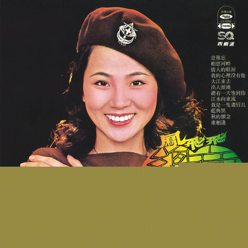 江水向东流歌词-凤飞飞