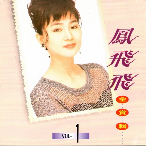 我不管歌词-凤飞飞
