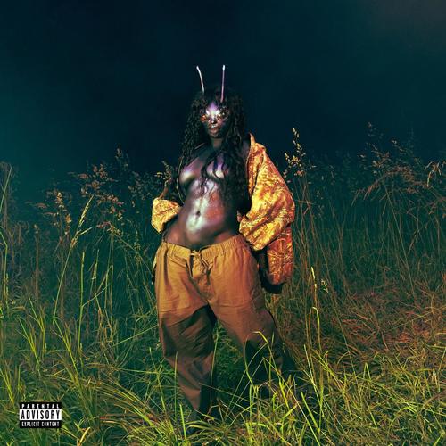 Used歌词-SZA / Don Toliver