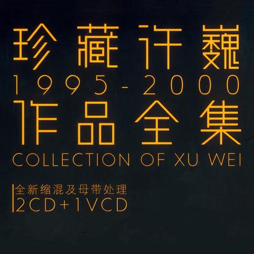 闪亮的瞬间歌词-许巍