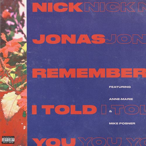 Remember I Told You (Clean)歌词-Nick Jonas / Anne-Marie / Mike Posner
