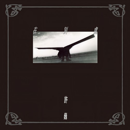 树歌词-许巍