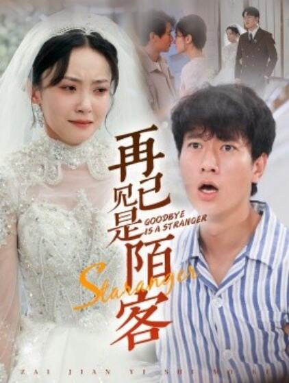 再见已是陌客 归来的星光短剧全55集
