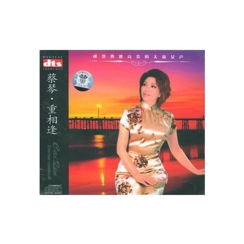 痴痴的等歌词-蔡琴