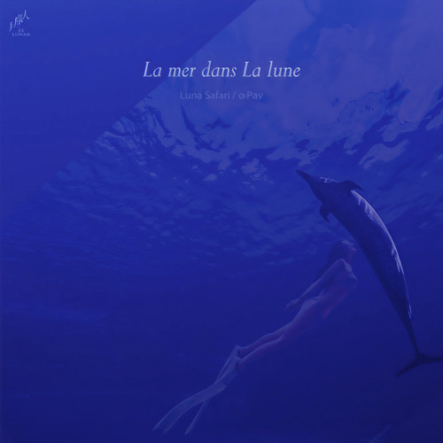 Fraternité  (博爱)歌词-Luna Safari