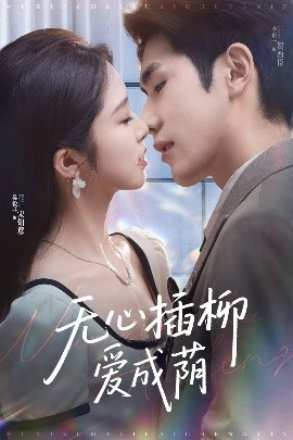 无心插柳爱成荫短剧全80集