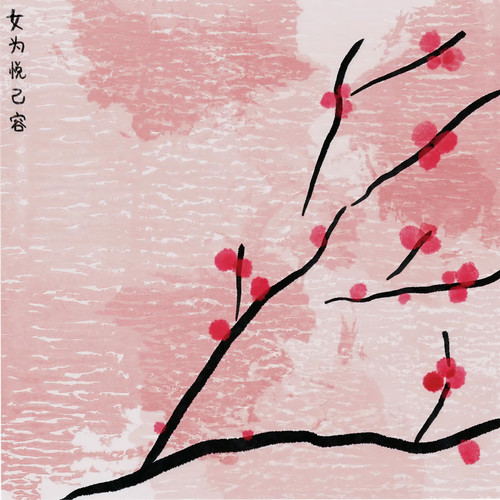 女为悦己容歌词-王澳楠EVE