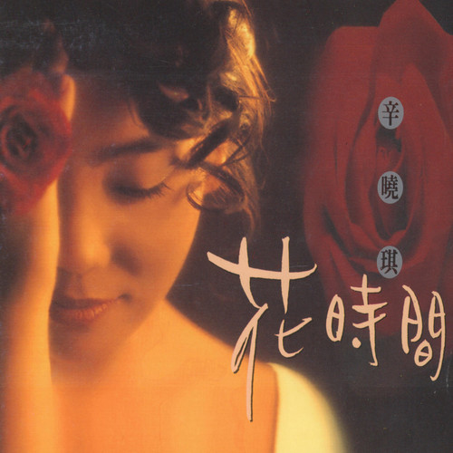 蒲公英之梦歌词-辛晓琪