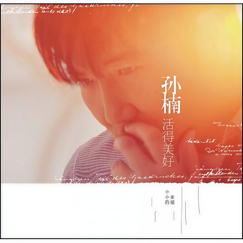 爱你爱不够歌词-孙楠