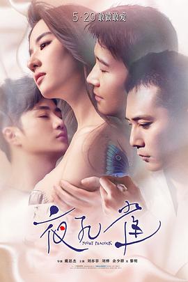 夜孔雀电影HD国语版