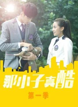 那小子真酷电视剧12集全