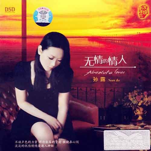 梦的翅膀受了伤歌词-孙露