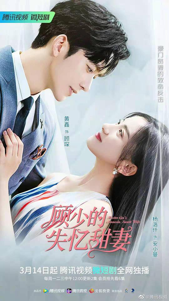 顾少的失忆甜妻电视剧全18集