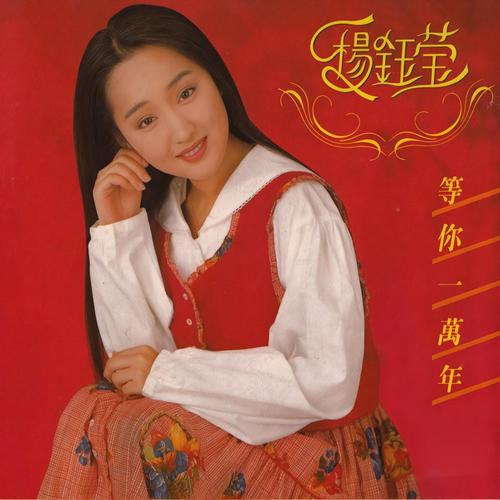 这样的男孩歌词-杨钰莹