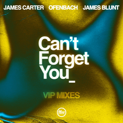 Can't Forget You (feat. James Blunt) (Ofenbach VIP Remix)歌词-James Carter / Ofenbach / James Blunt