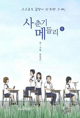 青春期混合曲电视剧全4集