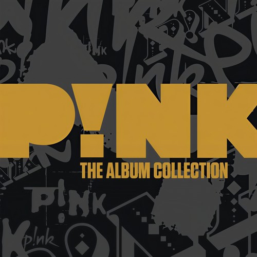 Dear Mr. President Featuring Indigo Girls歌词-P!NK