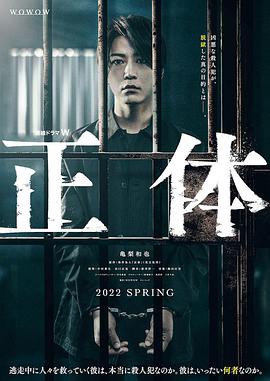 真实身份电视剧全4集