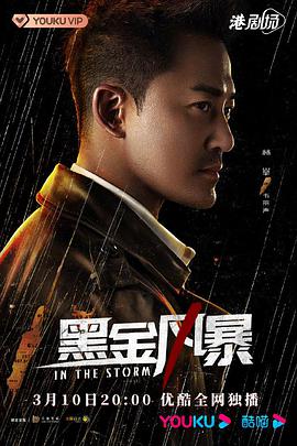 黑金风暴粤语版电视剧全30集