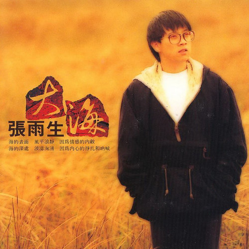 爱上你的一切歌词-张雨生