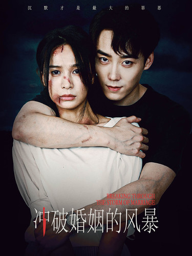 冲破婚姻的风暴短剧全29集